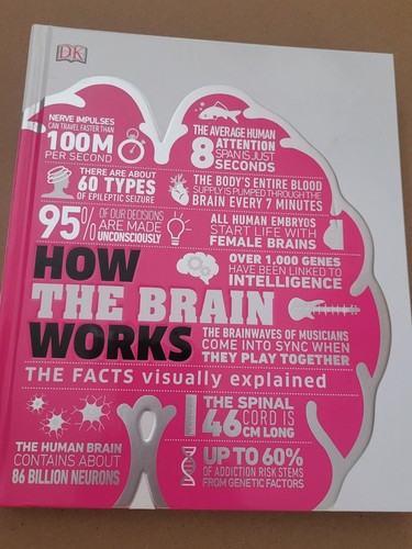 How the brain works - how, works: