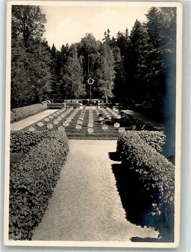 14004951 trakehnen - 14004951,