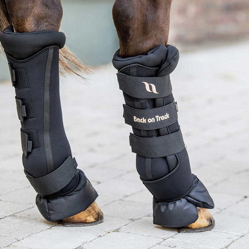 Back track equine quick - back,