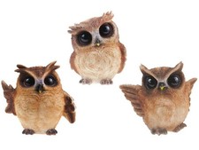 Vivid Arts kleine Eule aus
