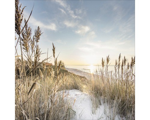 Glasbild wilder strand - glasbild,
