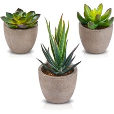 Kunstpflanzen Set 3 Stück