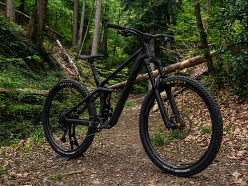 Canyon strive custom - custom,