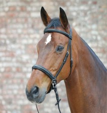 Trensenzaum Waldhausen