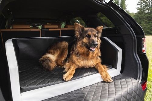 Autohundebett reisebett - autohundebett,