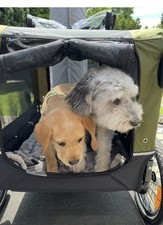 Kesser  Hundeanhänger   Boxer