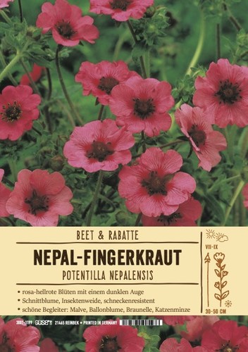 Potentilla nepalensis miss - potentilla, "miss