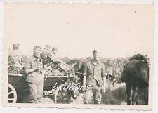Foto Russland-Pferdegespann-Wehrmacht-Soldaten (b796)