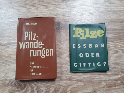 Engel pilzwanderungen pilze - engel,