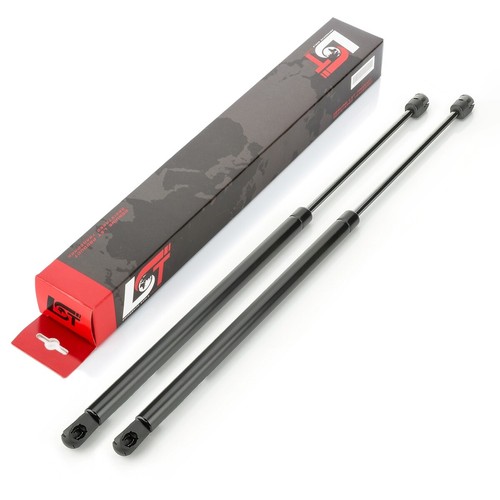 Gasfeder - 2x,