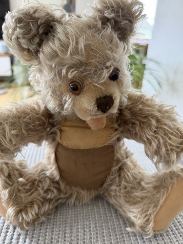 Steiff zotty teddybär teddy - zotty,