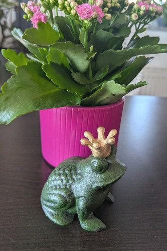 Froschkönig gusseisen - froschkönig,