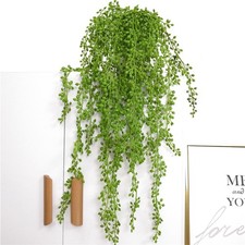 Sukkulenten Künstliche