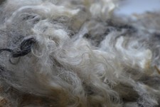 200gr rohwolle wolle LOCKEN