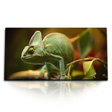 120x80cm Kunstdruck Bilder