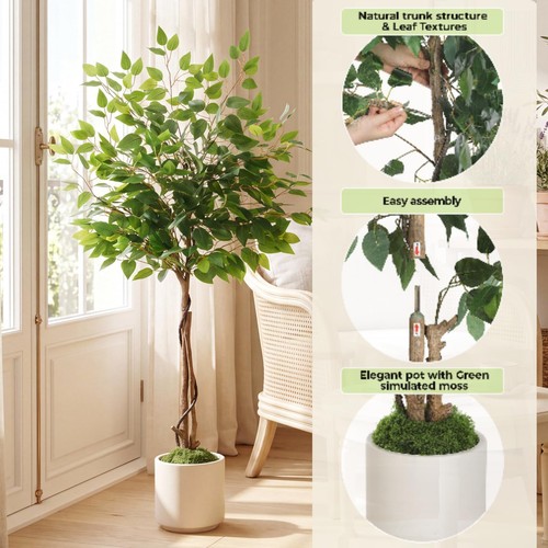 Ficus kunstpflanze - ficus,