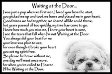 Shih Tzu Haustier Hund Denkmal