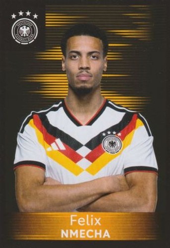 Panini family ferrero dfb 2026 - family,