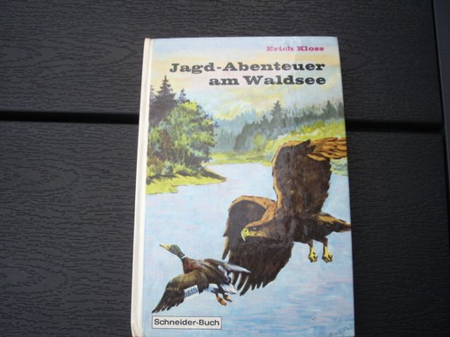 Jagd abenteuer waldsee - jagd-abenteuer,