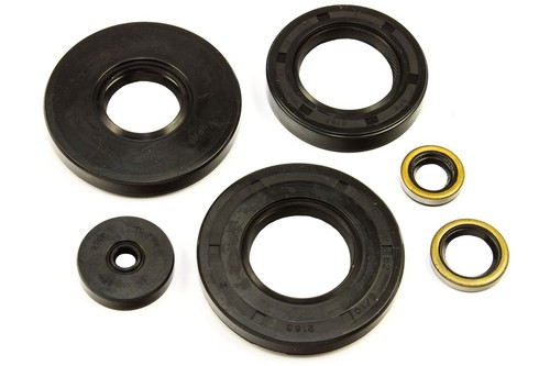 Motor simmeringe satz stück - satz, 6