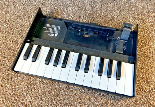 Roland boutique 25m - roland, k-25m