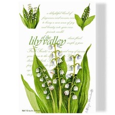 Lily of the Valley Duftsachet
