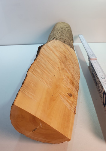 Stamm drechselholz buchsbaum - stamm,
