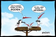 Lustige Postkarte In den