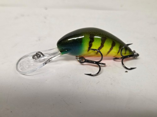 Custom painted salmo - painted, 5