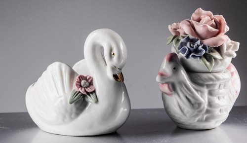 Schwan wunderschöne - , 2