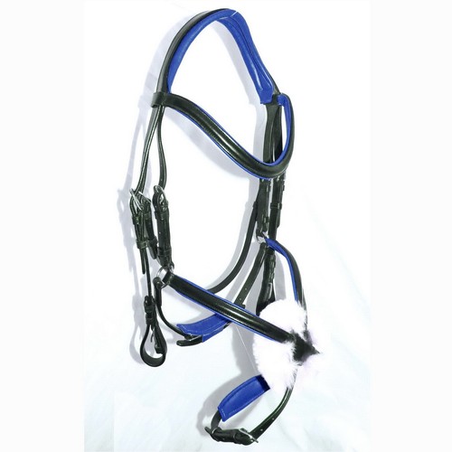 Fss anatomical grackle - anatomical, trense