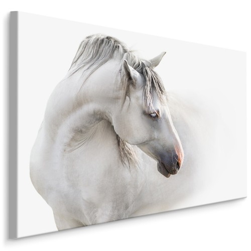 Canvas leinwand bilder xxl - bilder,
