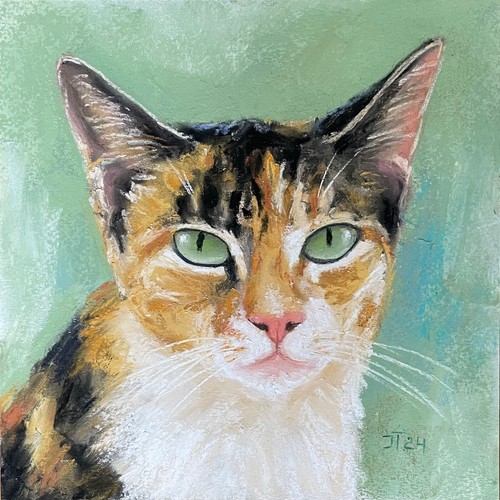 Katze original pastell - katze,