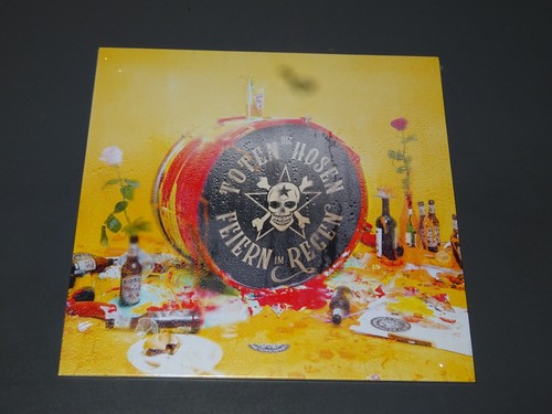 Die toten hosen feiern - hosen,