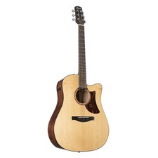 Ibanez AAD170CE-LGS Advanced