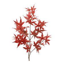 künstlicher Japanischer Ahorn rot braun 80cm Herbstlaub Kunstblumen herbstdeko