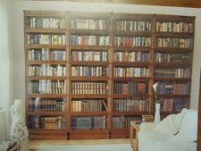 Bücherschrank/Wandschrankkomb