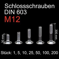 Schloßschrauben M12