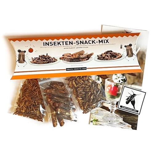 Insekten snack box geröstete - box,