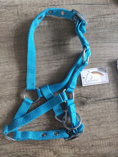 Blaues halfter shetlandpony - blaues,