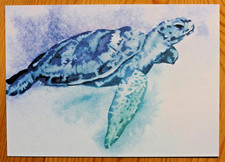 Postkarte Aquarell_SCHILDKRÖTE_Jenna Rainey_Meer Wasserfarbe Ozean blau grün_