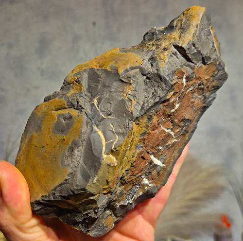Fossile erzstufe orange - fossile,