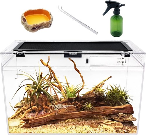 Faunarium terrarium 16x8x10 - faunarium,