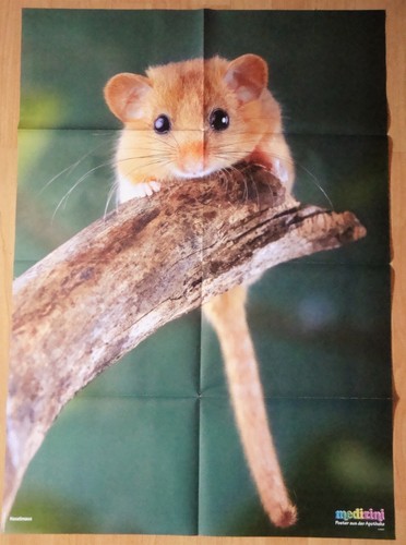 ✿RIESEN-TIER-POSTER