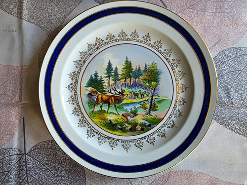 Jlmenau porzellan teller - porzellan,
