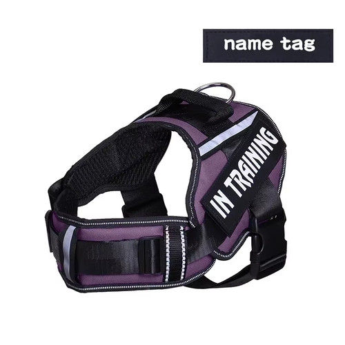 Personalisiertes hundegeschirr - personalisiertes,