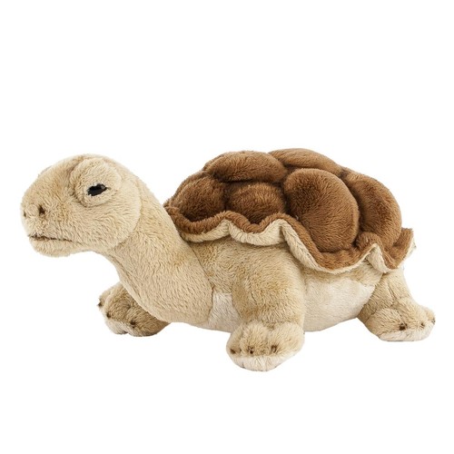Schildkröte kuscheltier cm - schildkröte, 20