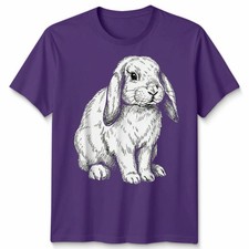 Lop Eared Bunny Kaninchen