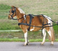 Waldhausen Einspänner-Synthetik Geschirr Stark Reduziert!!