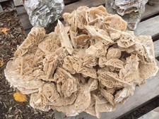 SANDROSE XXL Wüstenrose 38 x 62 x 56 cm Unikat Tunesien Sahara Sahararose Rose